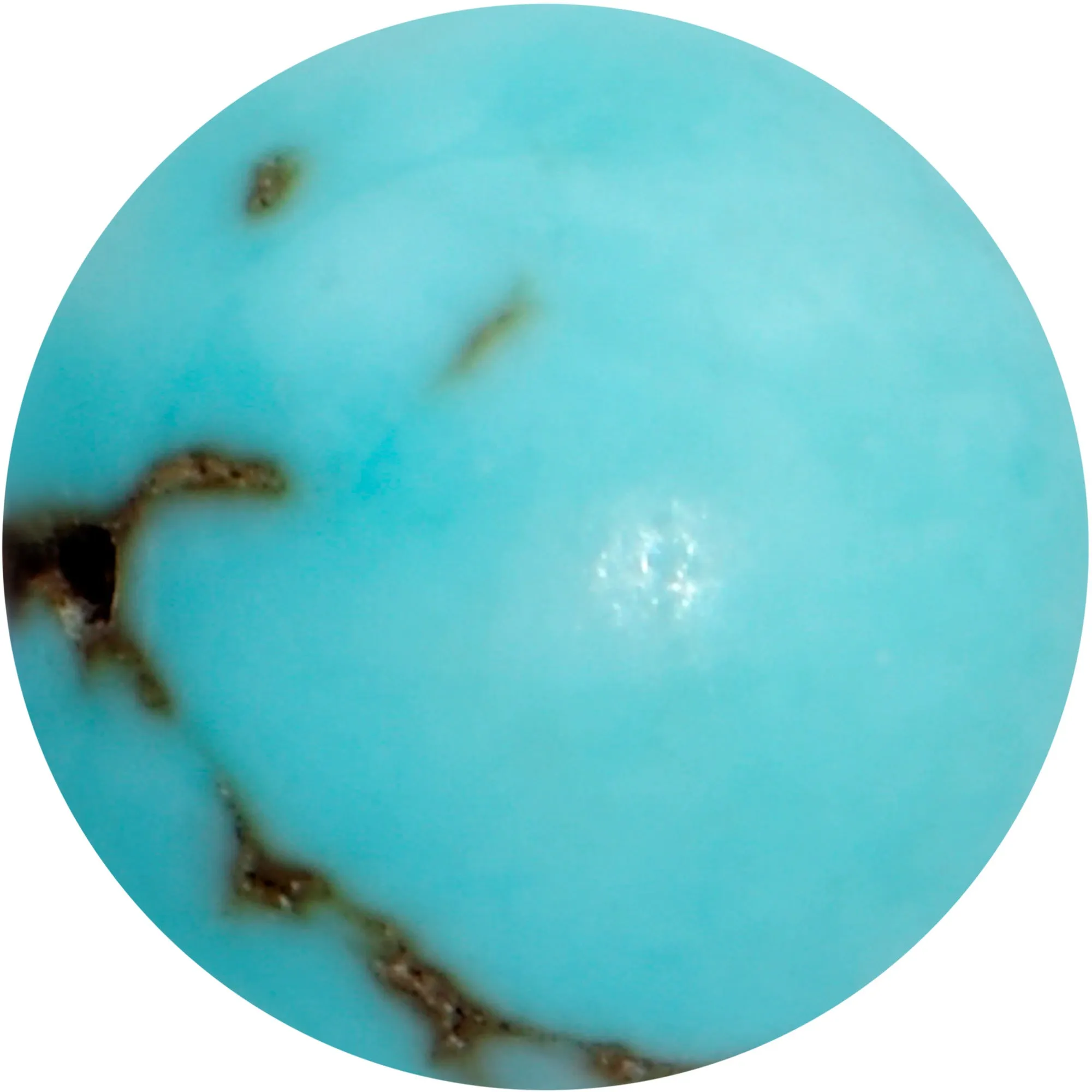 16 Gauge 5/16 Elegant Blue Turquoise Internally Threaded Labret Tragus