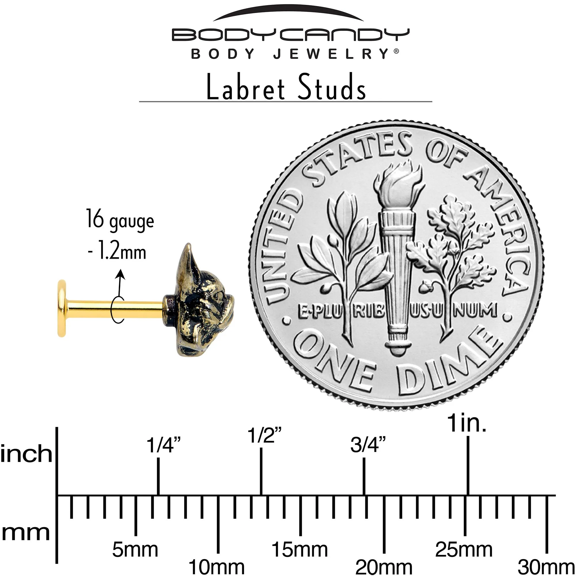16 Gauge French Bulldog Flat Back Earring Set Internally Threaded 3 Pack
