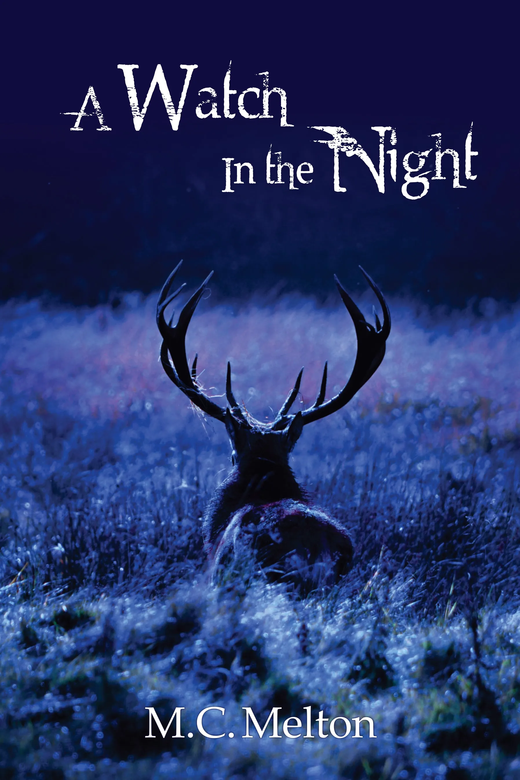 A Watch in the Night