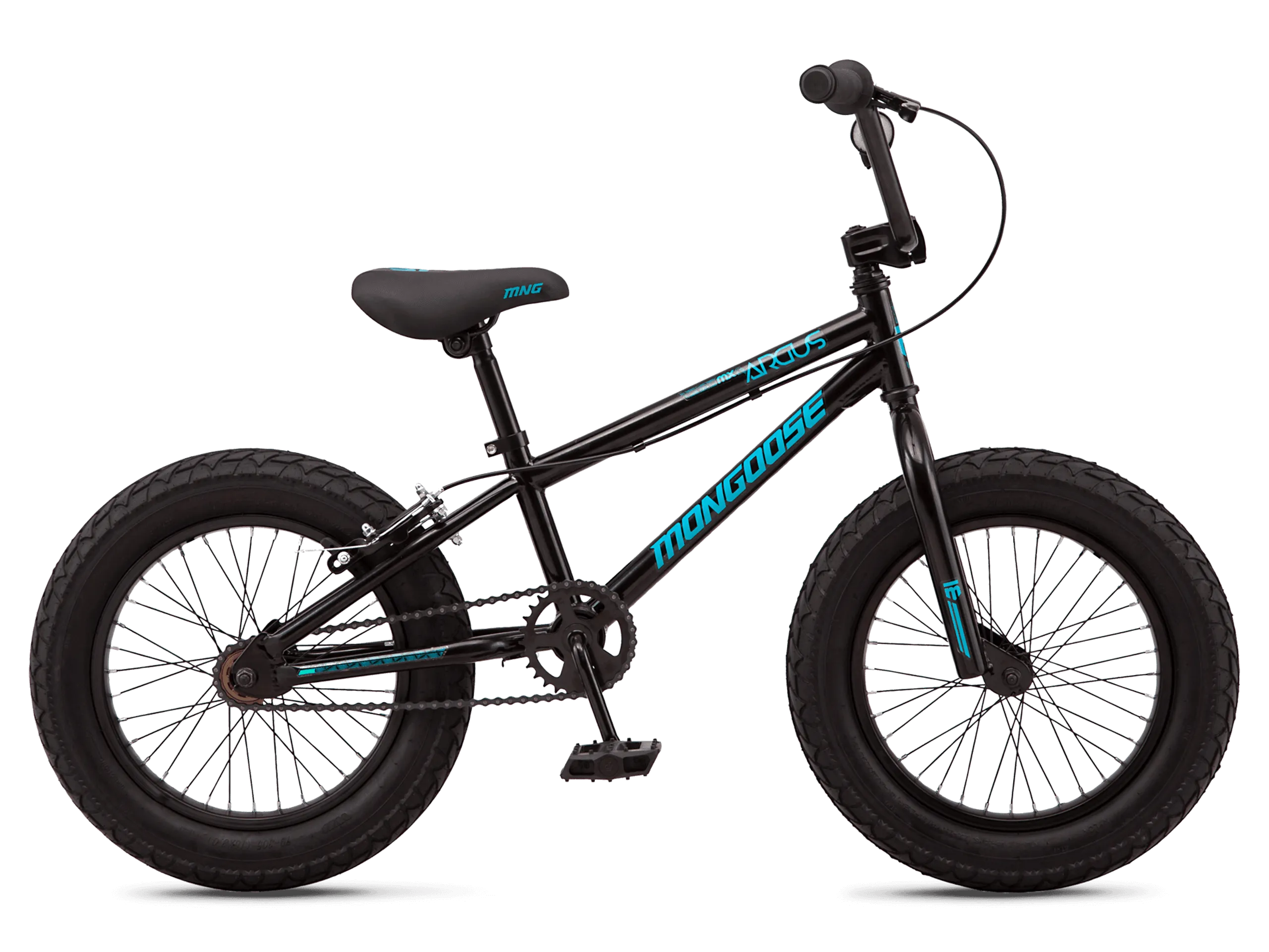 Argus MX 16