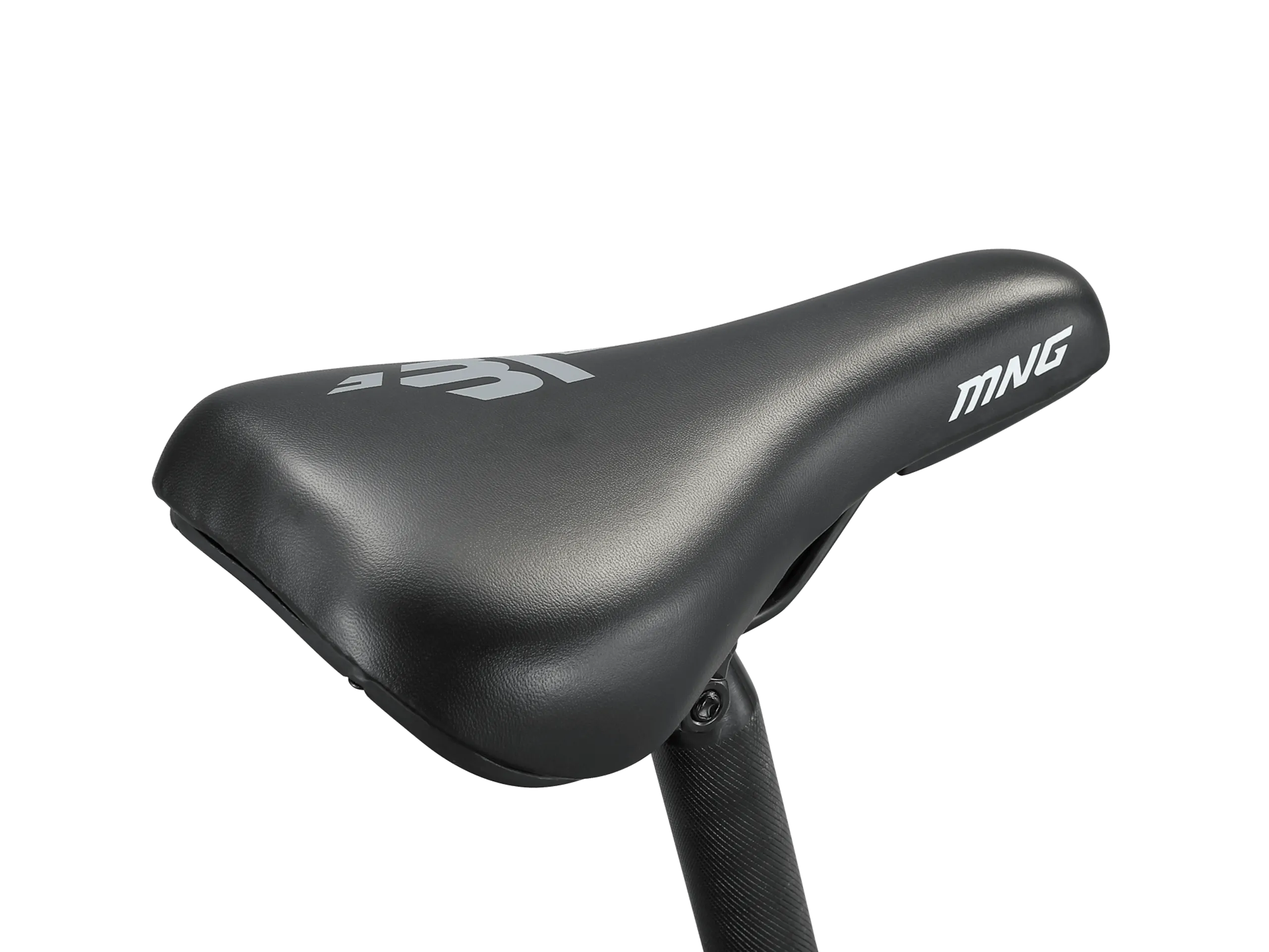 Argus ST 20
