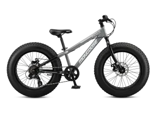 Argus ST 20