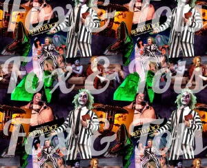 Beetlejuice Fabric