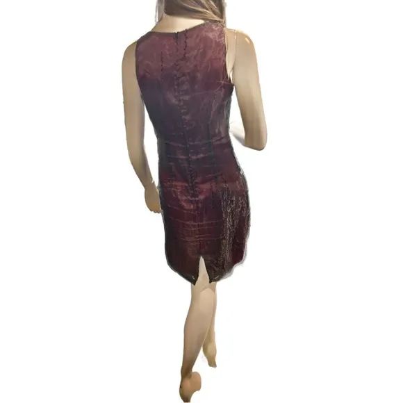 Blue Reed Red &amp; Black Sheer Dress