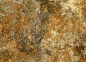 Brown Earth Jewels Oxidized Look Fabric, Item No. 23346