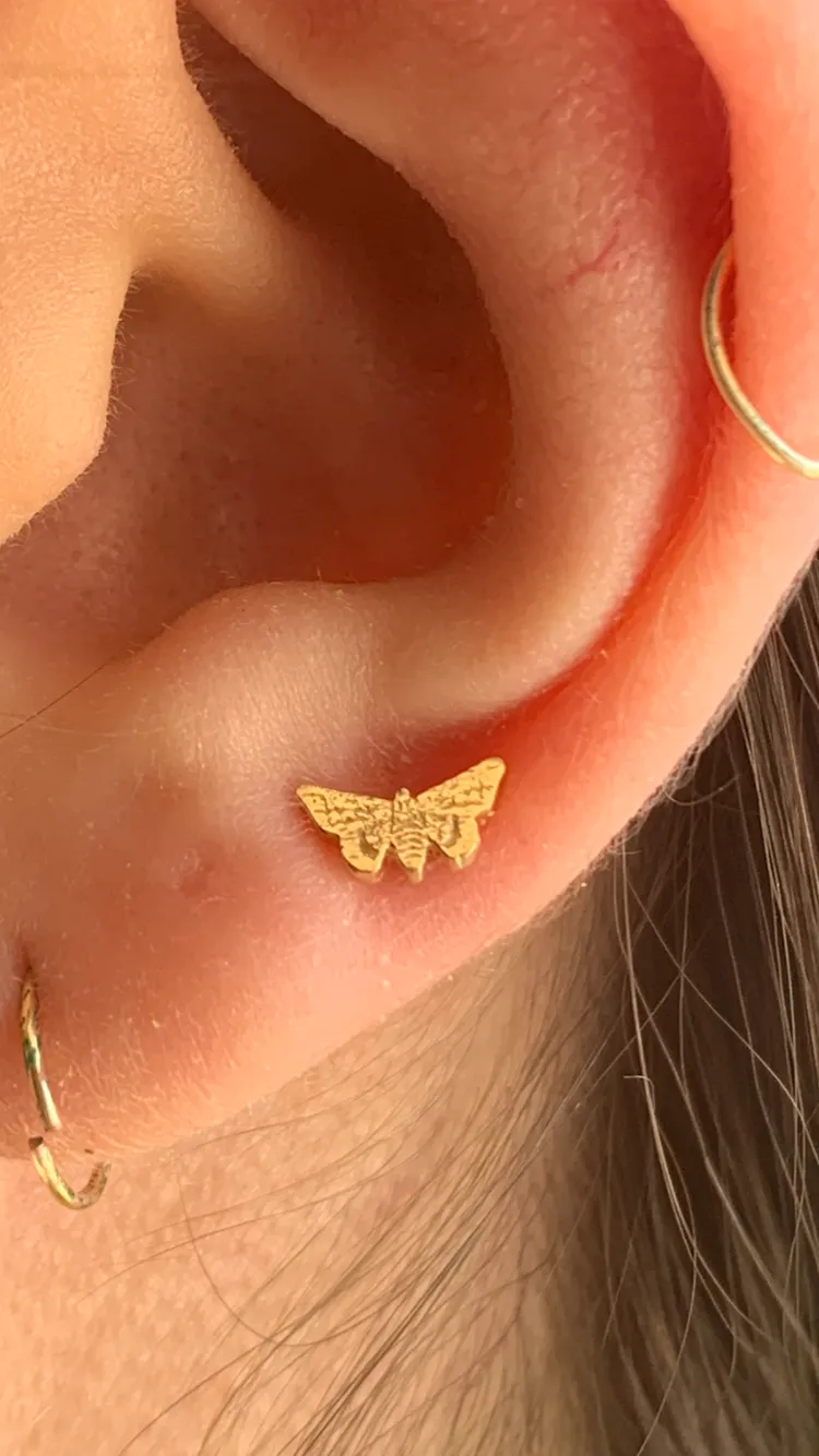 Butter fly - threaded or threadless