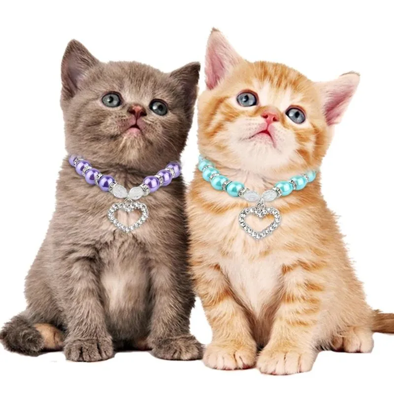 Cat Collar Heart Pendant. Unique.