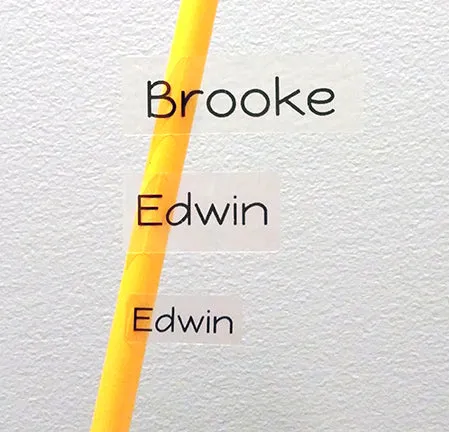 Clear Large Name Labels