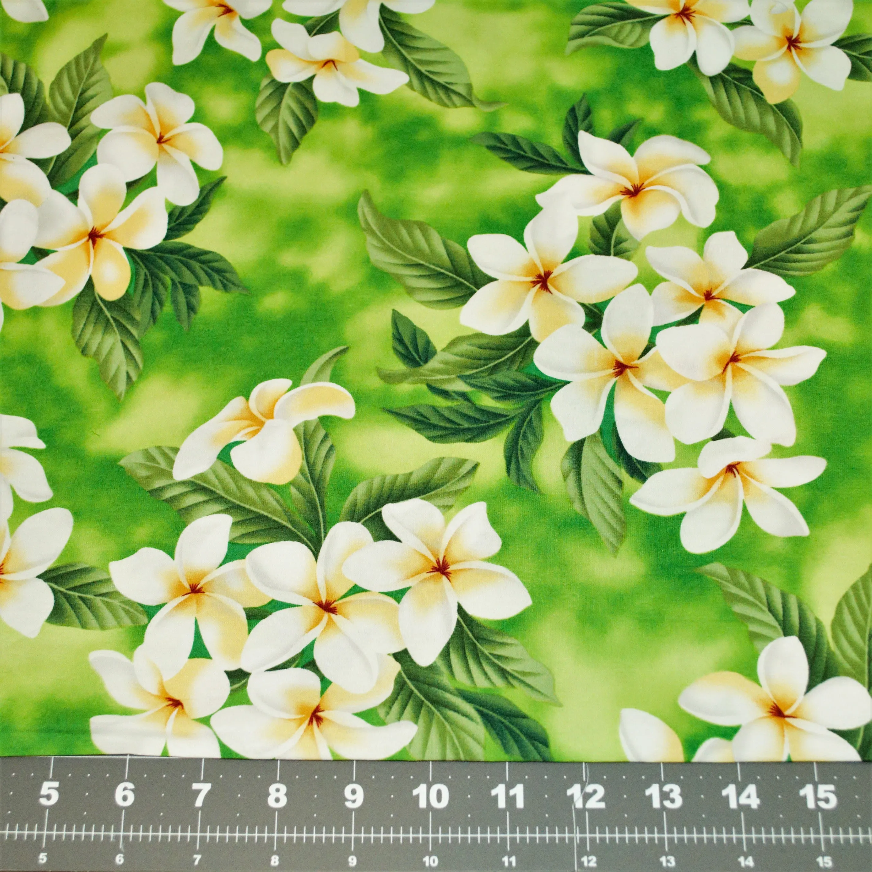Clustered Plumeria on Lime Background
