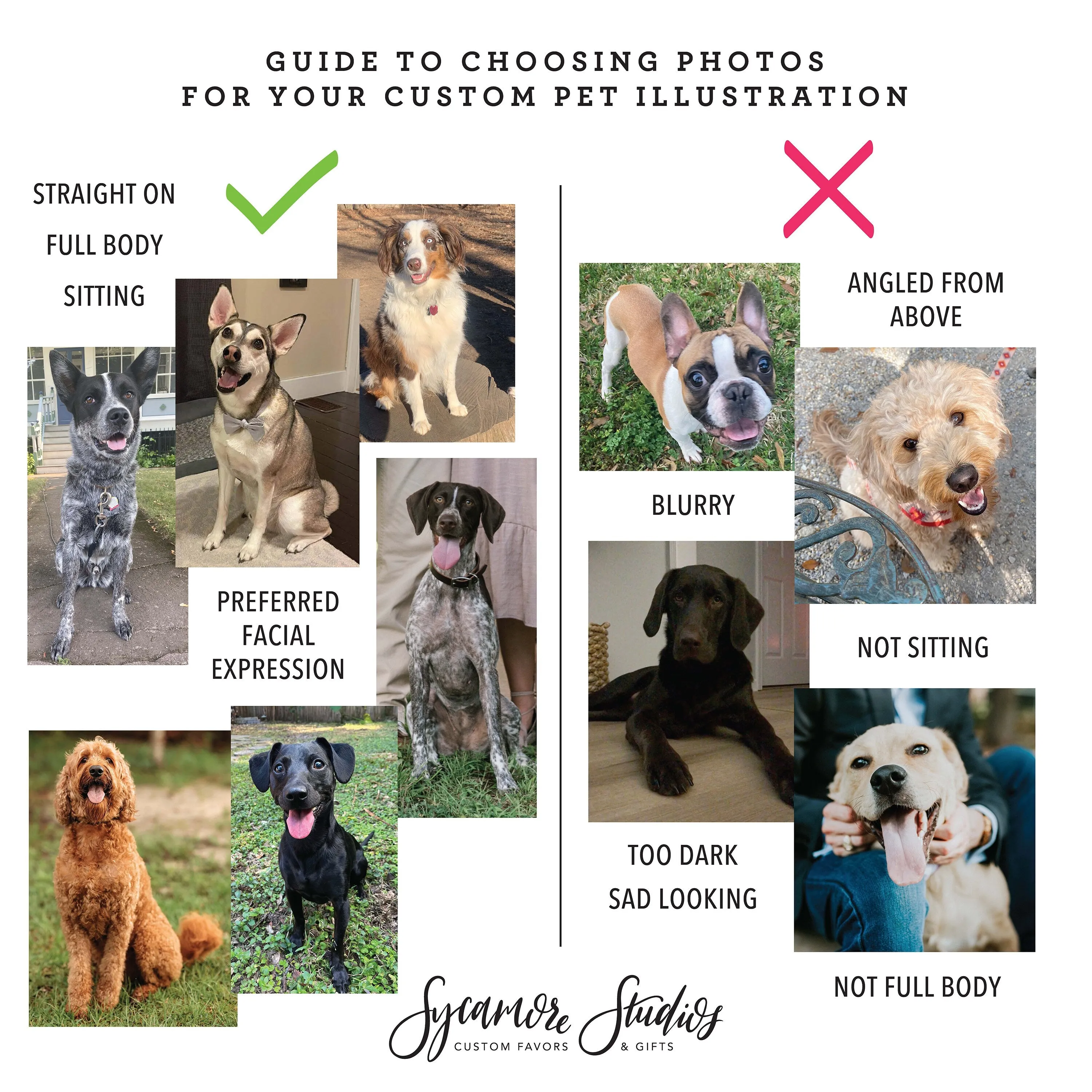 Custom Pet Illustration - Cheers