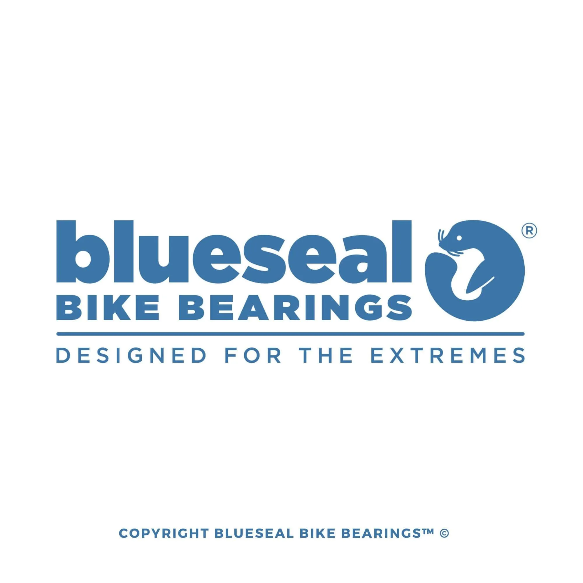 Demo Pivot Bearing Kit | Blueseal MAX Full Complement™