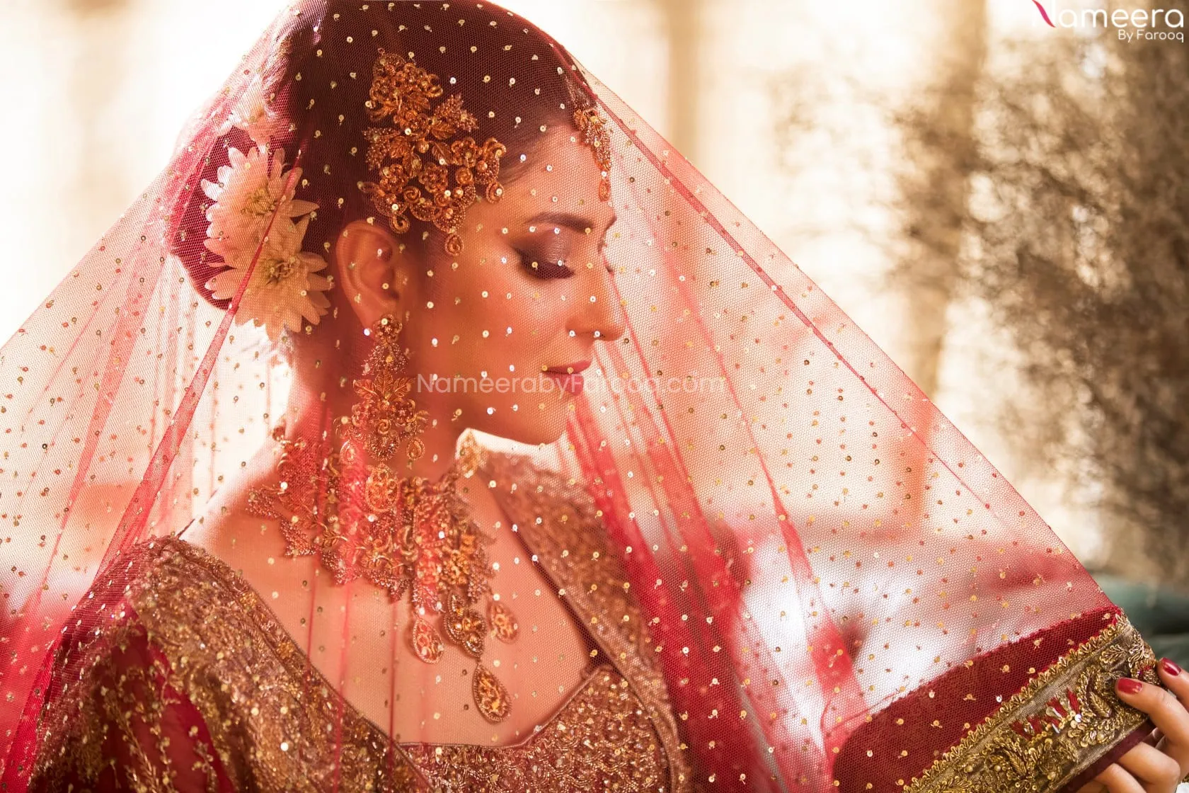 Elegant Pakistani Bridal Maroon Lehenga Dress #BN769