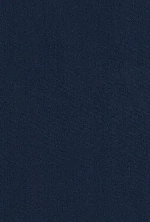 Fabric Swatch