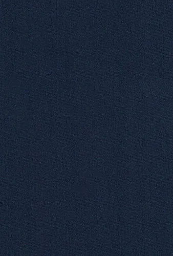 Fabric Swatch