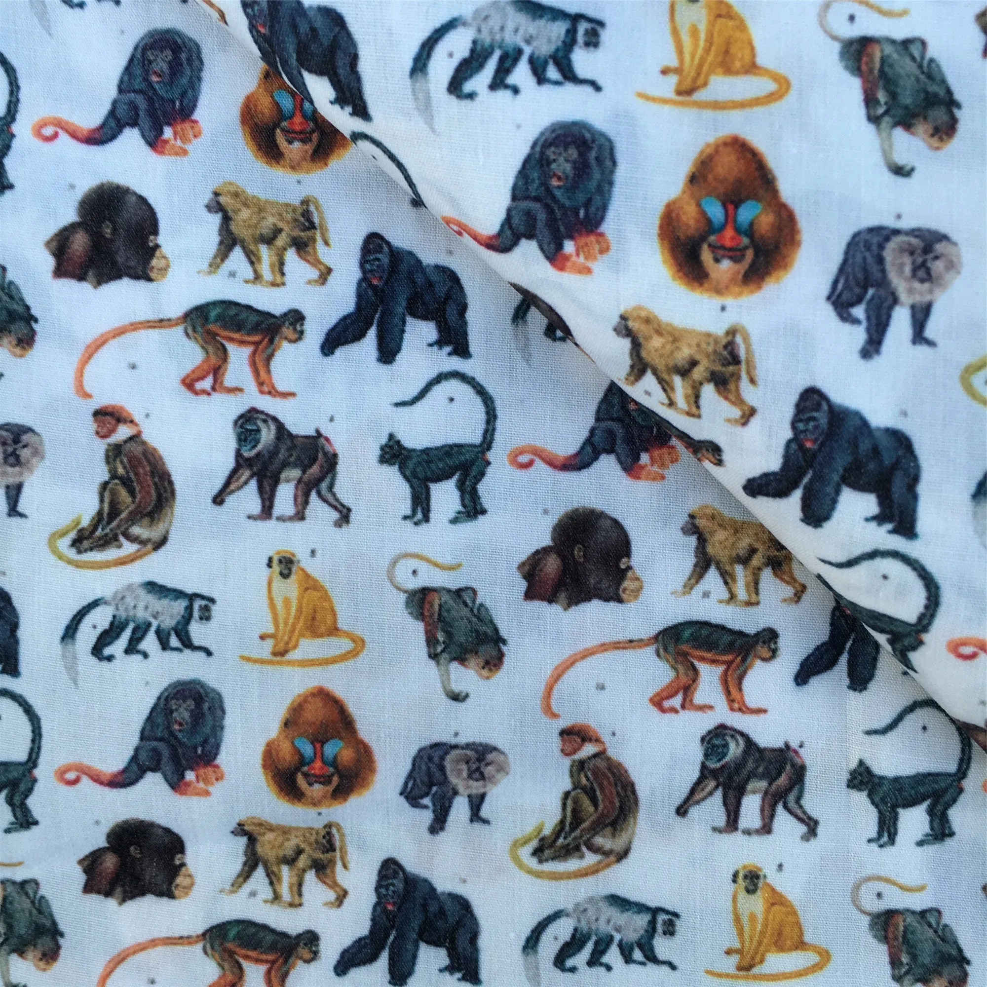 fabric