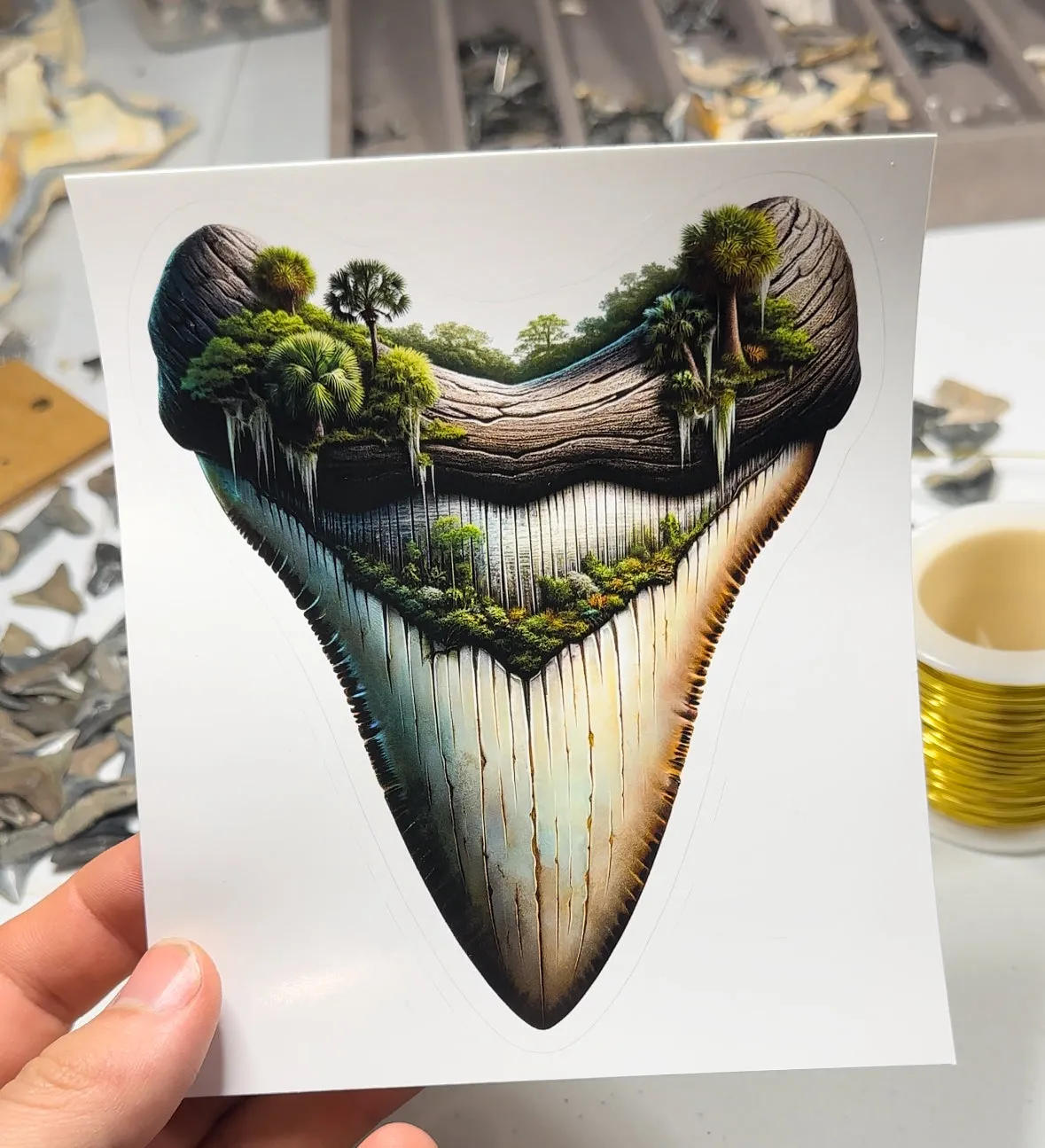 Florida Native Megalodon Sticker
