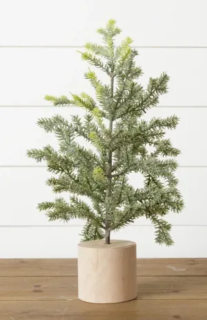 Frosted Pine In Wooden Base