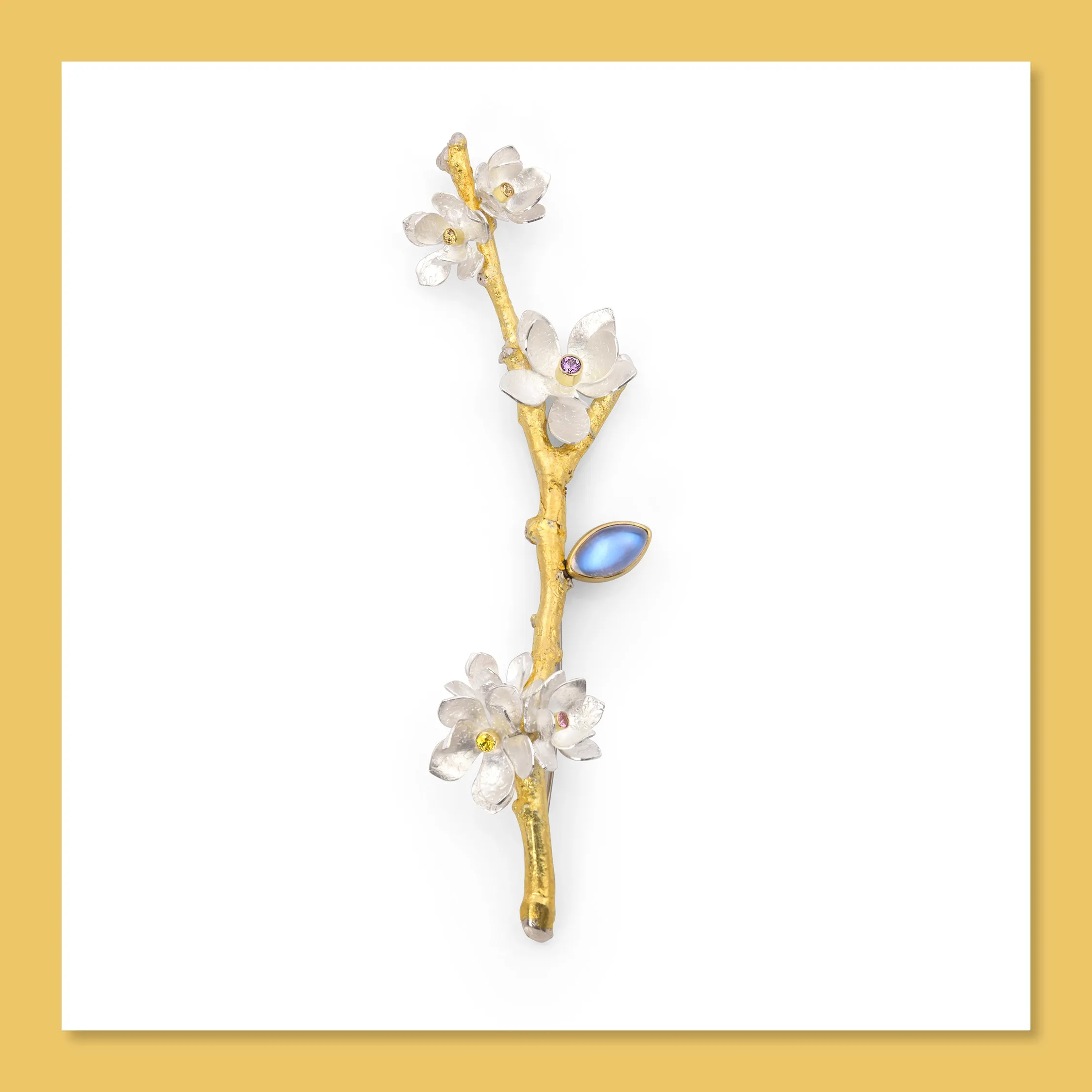 Fruit Blossom