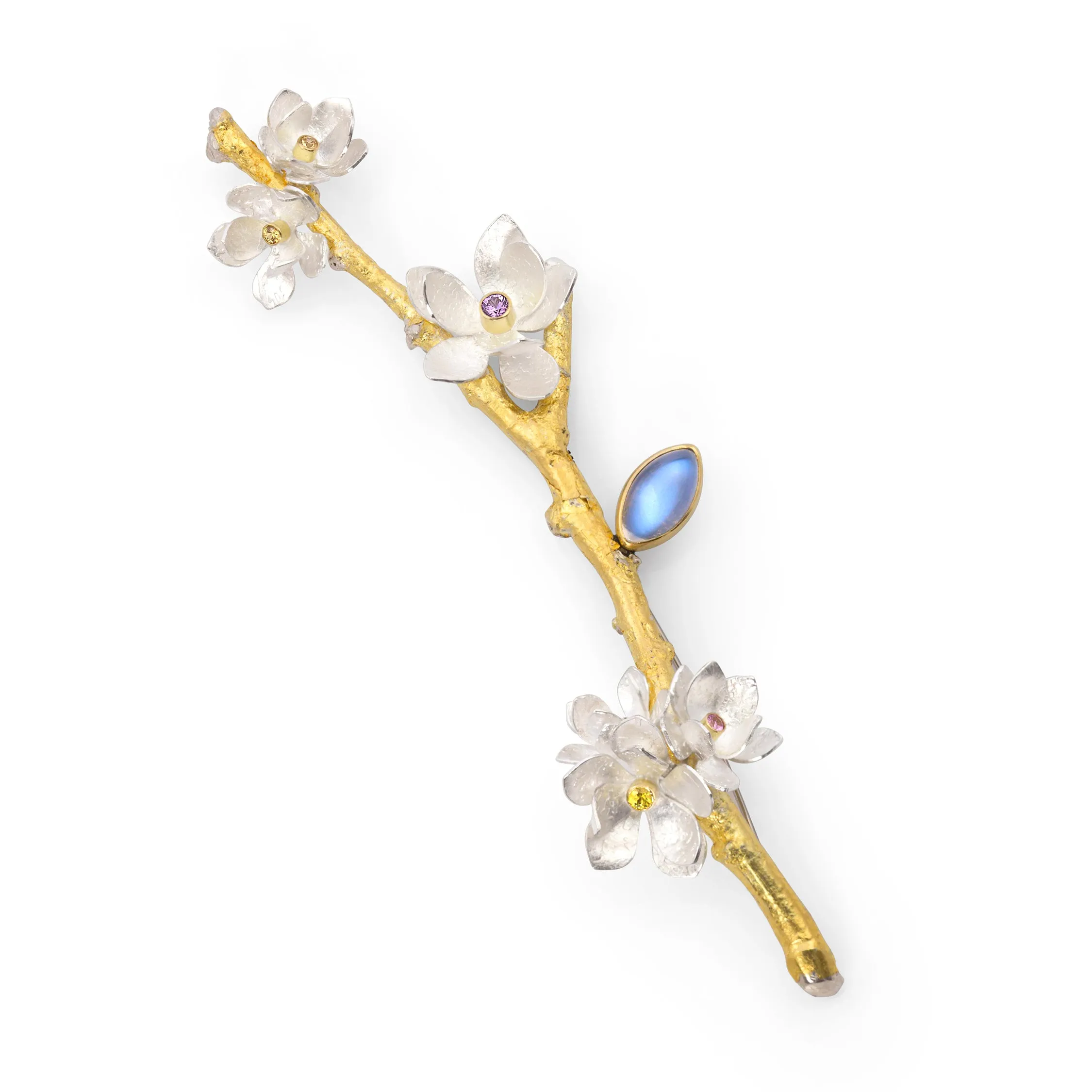 Fruit Blossom
