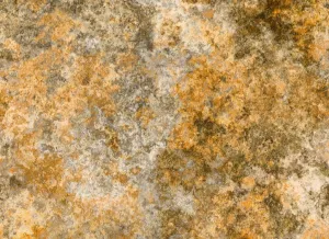 Gold Earth Jewels Oxidized Look Fabric, Item No. 23344
