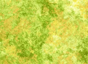Green Earth Jewels Fabric, Item No. 23341