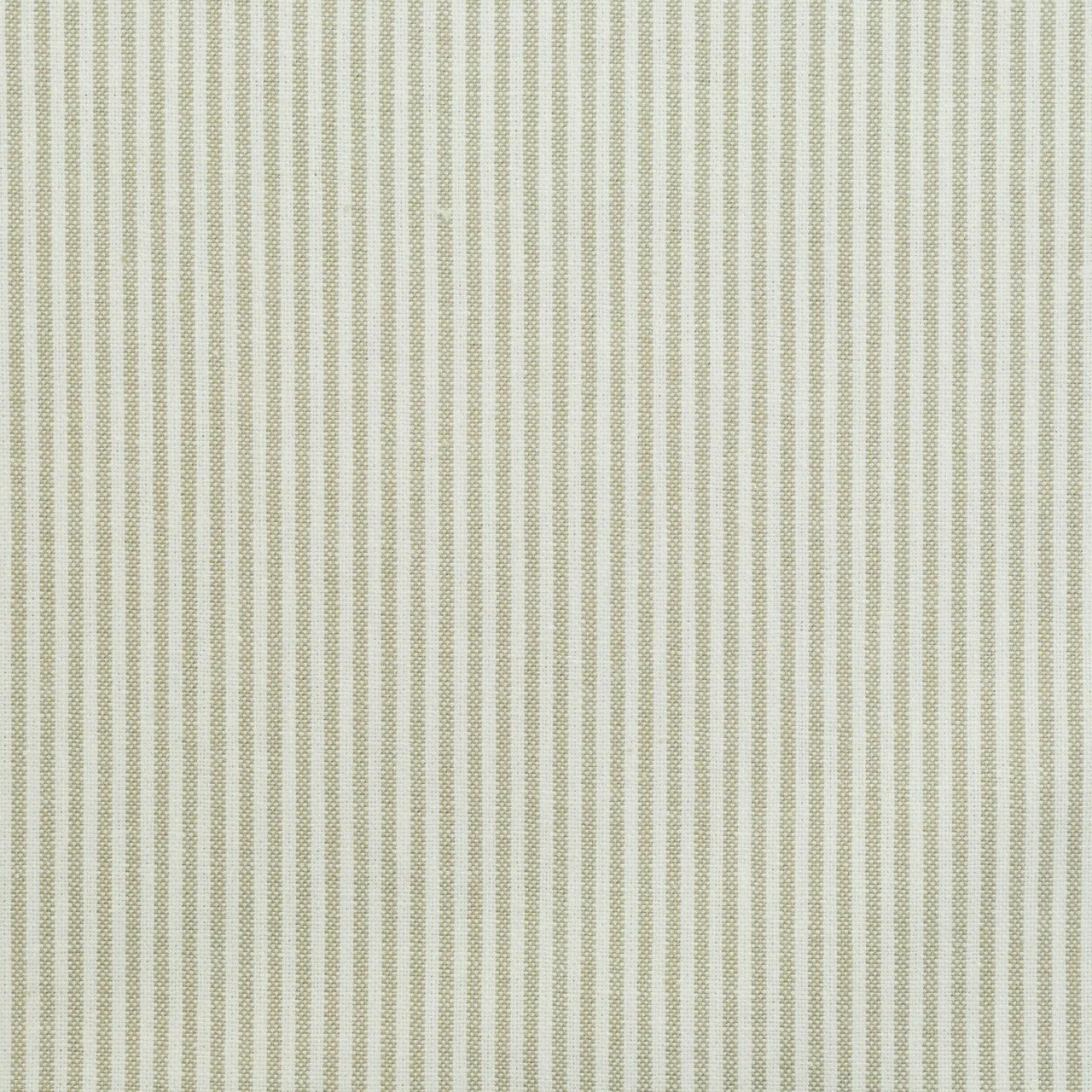 Jessy Stripe in Fawn