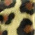 Leopard Minimergency Kit