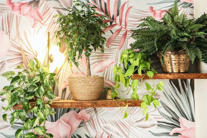 Live Edge Floating Shelves | From Eco-Friendly Urban Wood