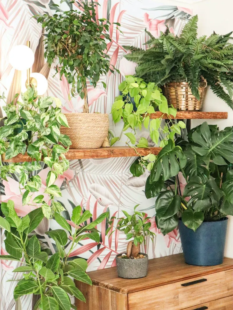 Live Edge Floating Shelves | From Eco-Friendly Urban Wood
