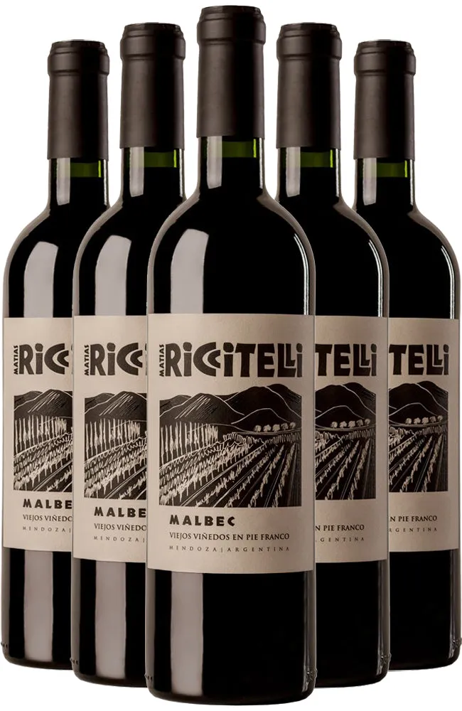 Matías Riccitelli Vineyard Selection Malbec 2020