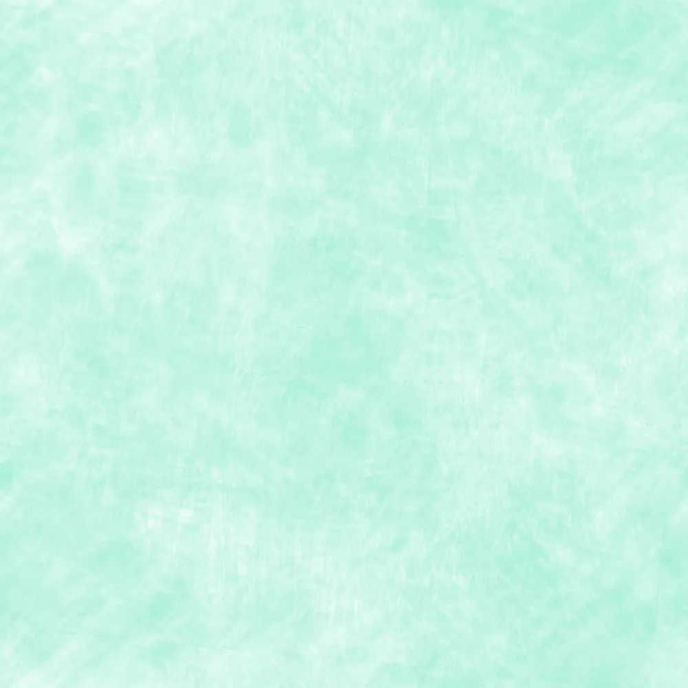 Mint Green Fabric