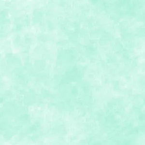 Mint Green Fabric