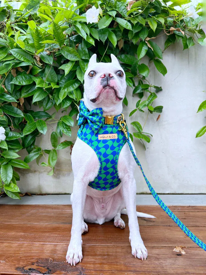 MOLLY & CO. - Adjustable Harness- Forest