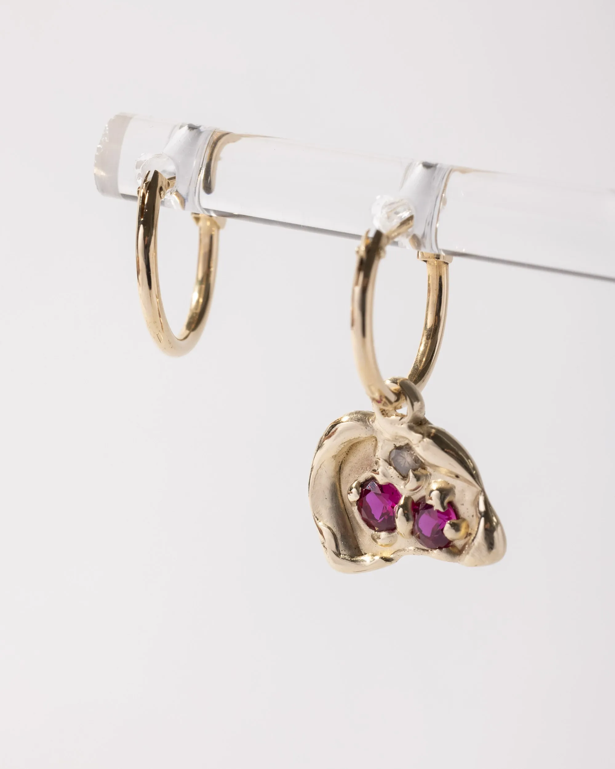 Mysterious Hoops