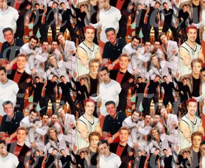 NSYNC Fabric