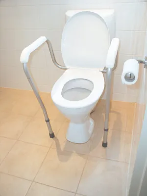 Oakwood Over toilet frame - Free Shipping