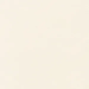 Off White Solid Fabric, Dream Cotton, Item No. 19039