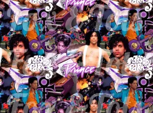 Prince Fabric