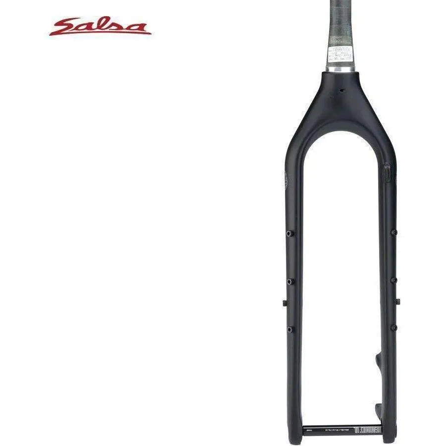 Salsa Firestarter Carbon Forks
