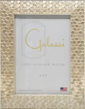 Silver Apiary Frame 5" x 7"