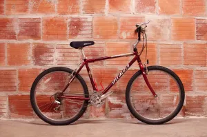 Specialized Hardrock Sport, Upright Rigid MTB, Red & Gold, 19”/49cm/Small