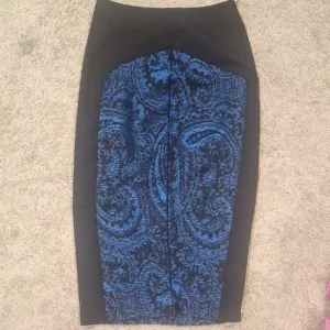 Ted Baker Elegant Lace Skirt 0