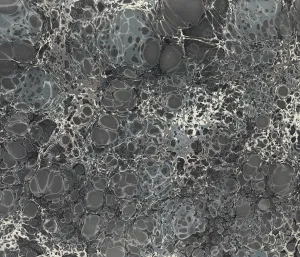 Topo Fabric
