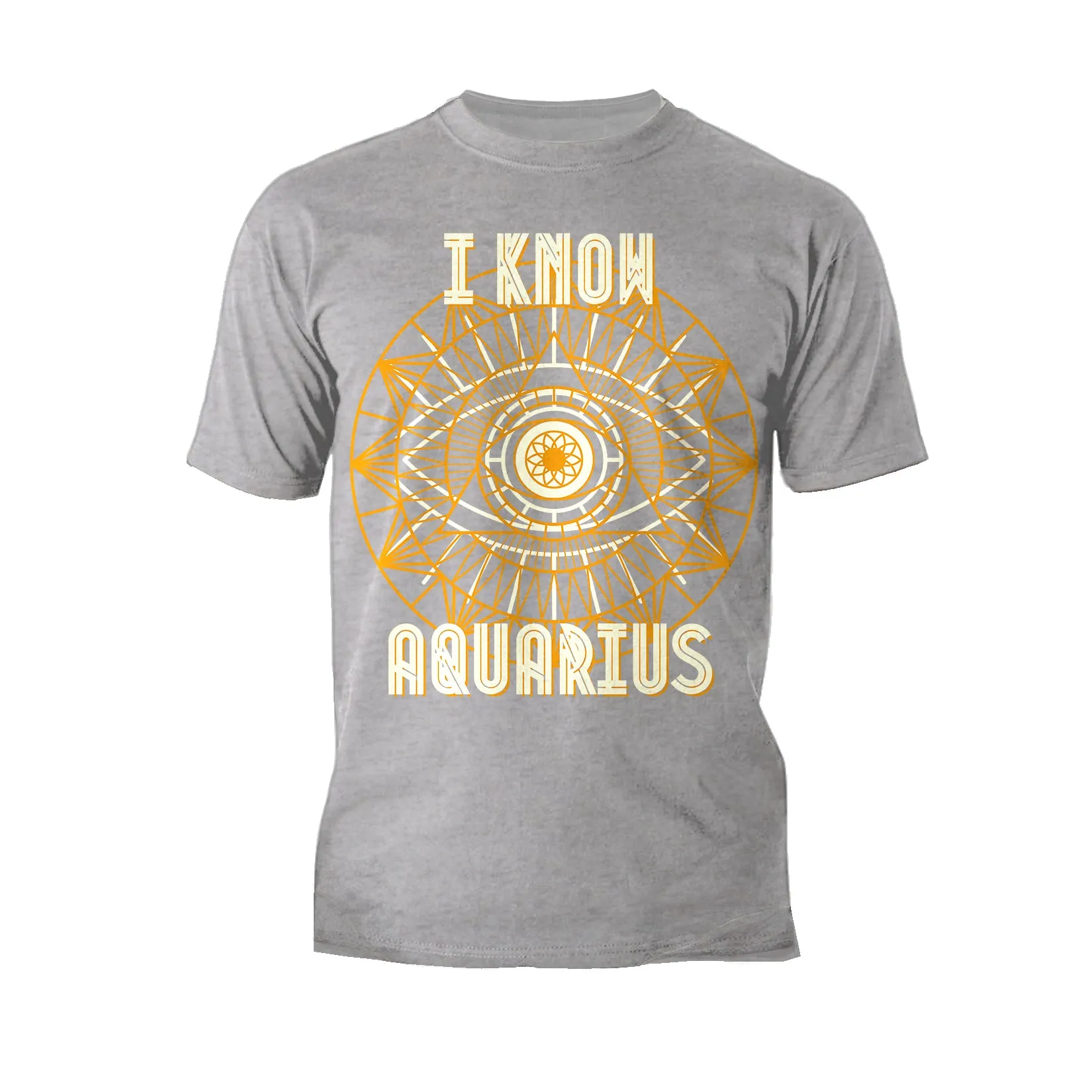 UA Supreme Star Sign Aquarius Men's T-shirt (Sports Grey)