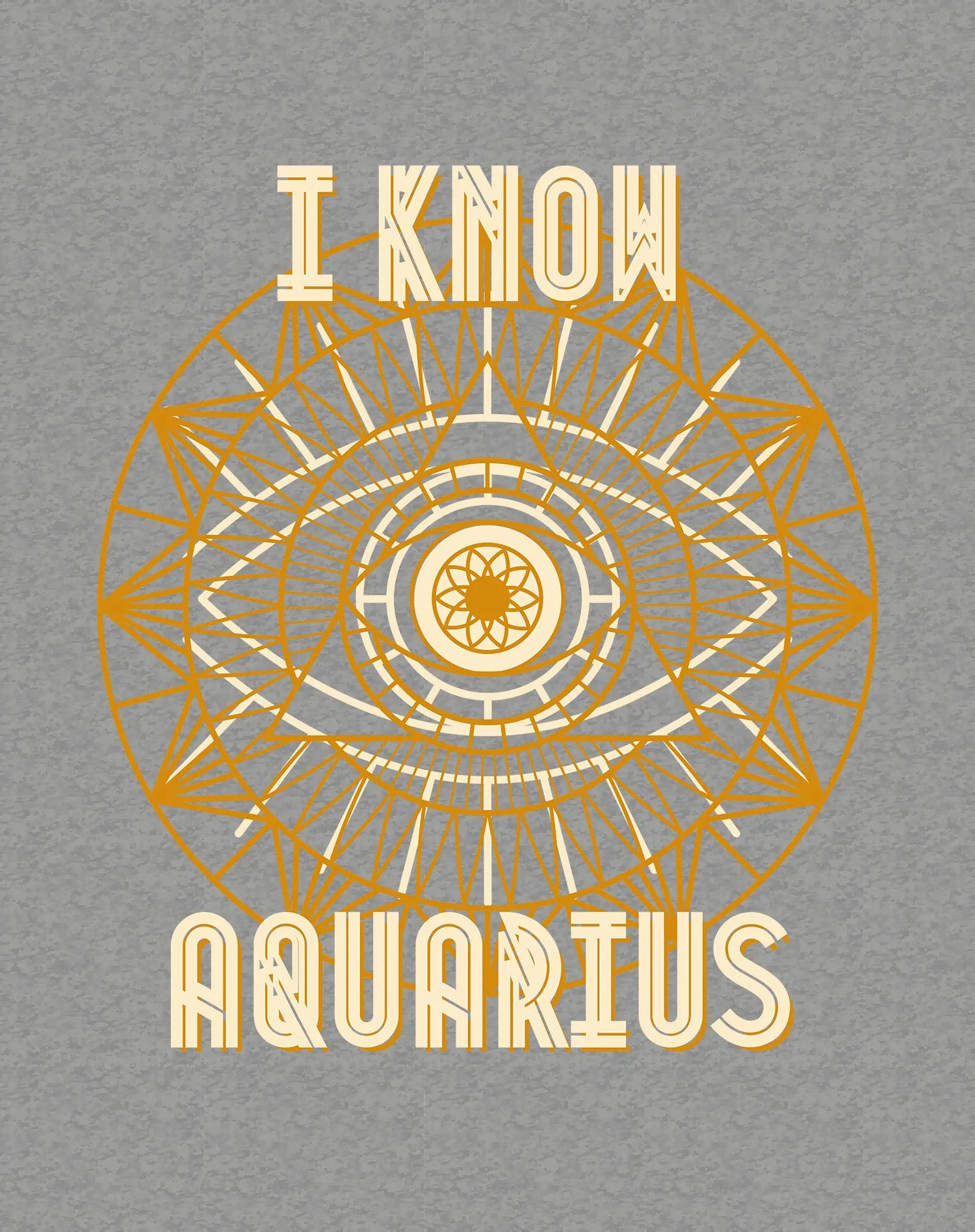 UA Supreme Star Sign Aquarius Men's T-shirt (Sports Grey)