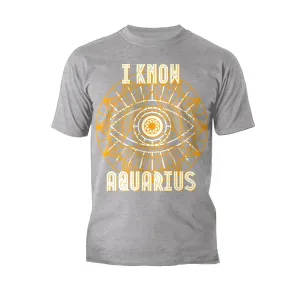 UA Supreme Star Sign Aquarius Men's T-shirt (Sports Grey)