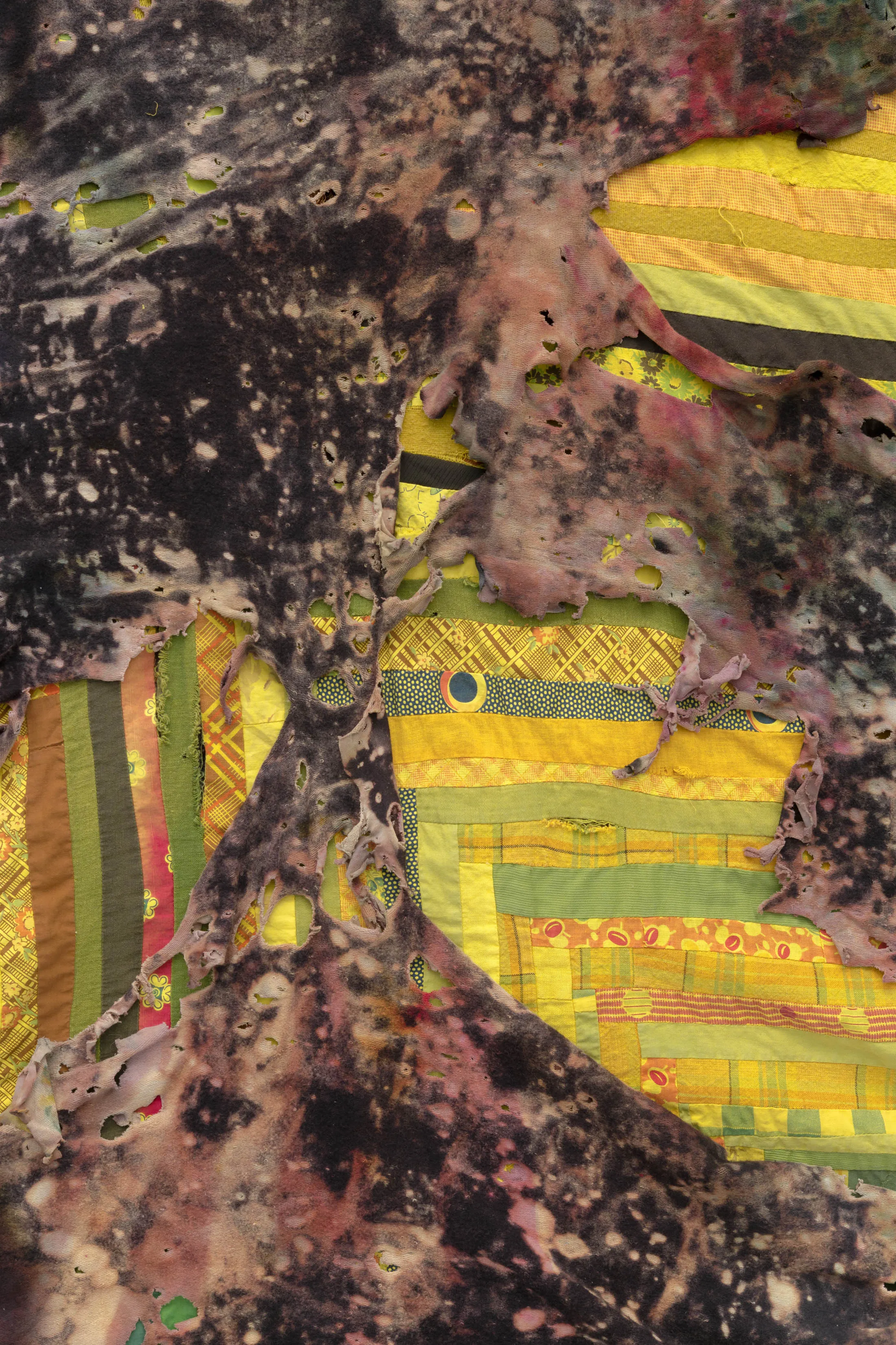 UNIQUE (5701), 2019
