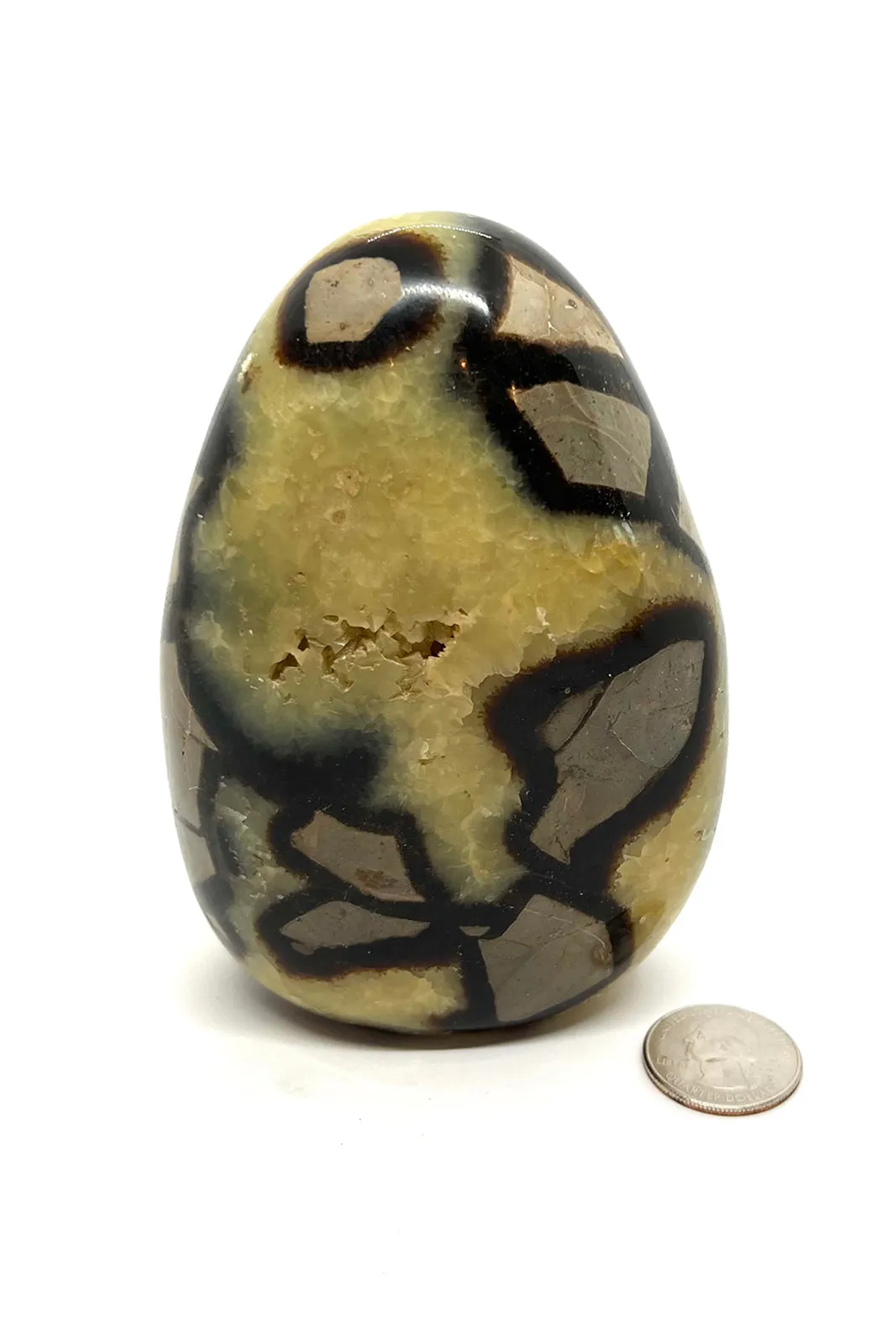 Unique Septarian "Dragon Stone" Specimen