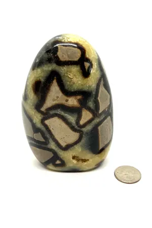 Unique Septarian "Dragon Stone" Specimen