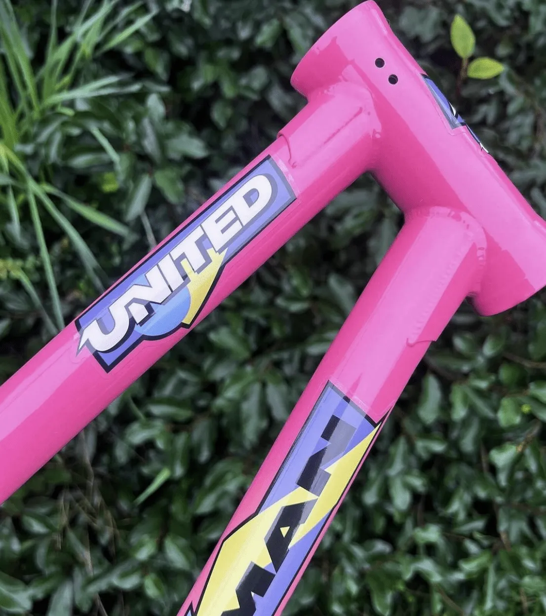 United Escamilla Caveman V2 Frame 20.8" TT Pink